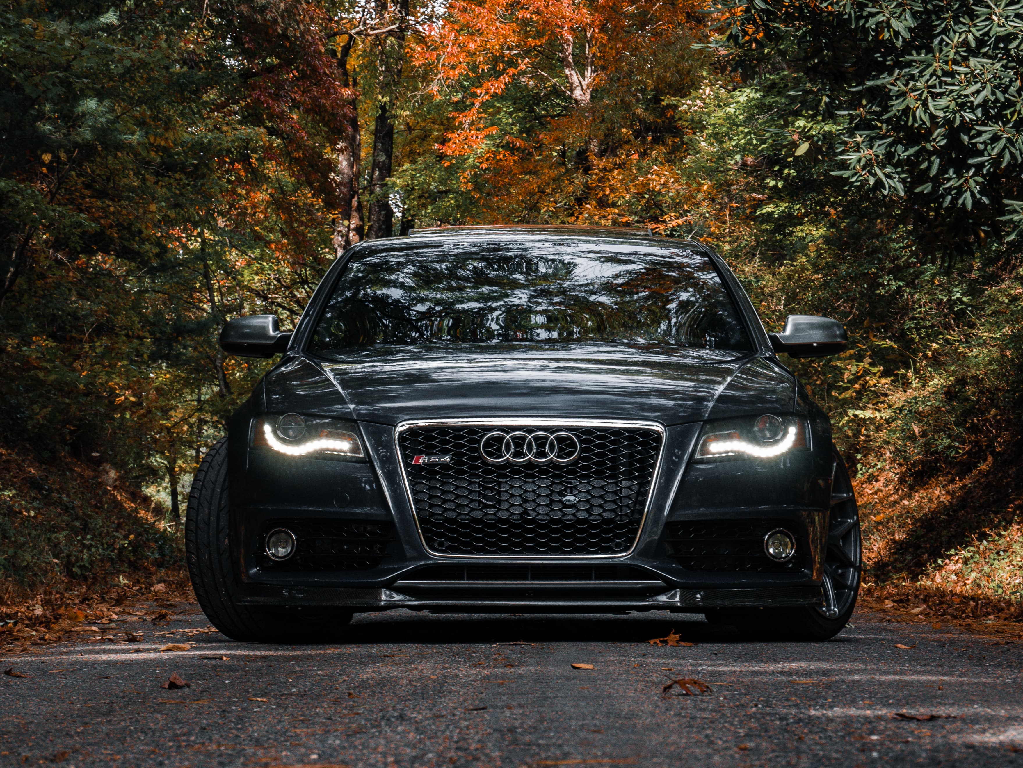 Audi S4 B8 Build